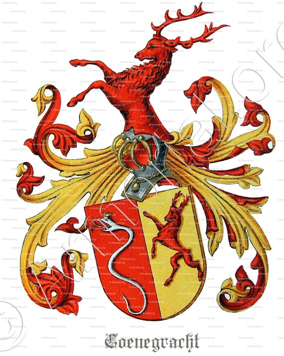 COENEGRACHT_Maastricht_Nederland