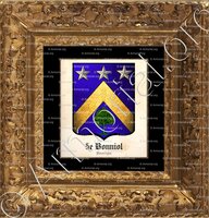 cadre-ancien-or-de BONNIOL_Auvergne_France