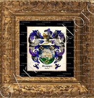 cadre-ancien-or-ELIZAGOYEN_Argentina._Argentina (ii)