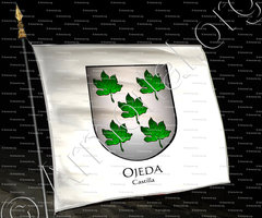 drapeau-OJEDA_Castilla_España (i)