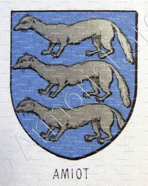 AMIOT_Bourbonnais_France