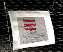 drapeau-LIEUCHE_Armorial Nice. (J. Casal, 1903) (Bibl. mun. de Nice)._France (i)