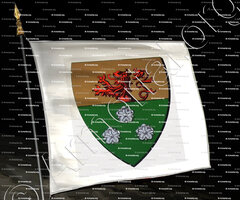 drapeau-MARTHERAY olim MARTHEREY_Ancien Duché de Savoie_États de Savoie