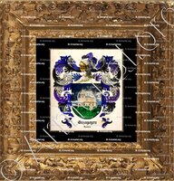 cadre-ancien-or-ELIZAGOYEN_Navarra_España (ii)