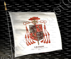 drapeau-d'ARMAGNAC_Georges d’Armagnac, Cardinal en 1544). D'après doc. Bibl.Mazarine._France