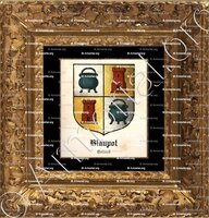 cadre-ancien-or-BLAUPOT_Holland_Nederland (2)