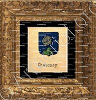 cadre-ancien-or-CHATONEY_Livre d'Or du Canton de Fribourg (Freiburg). (Alfred Raemy, 1898)_Schweiz Suisse Svizzera Switz