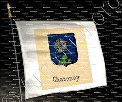 drapeau-CHATONEY_Livre d'Or du Canton de Fribourg (Freiburg). (Alfred Raemy, 1898)_Schweiz Suisse Svizzera Switz