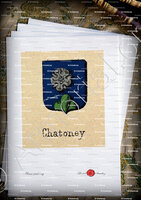 velin-d-Arches-CHATONEY_Livre d'Or du Canton de Fribourg (Freiburg). (Alfred Raemy, 1898)_Schweiz Suisse Svizzera Switz