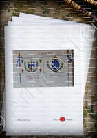 velin-d-Arches-LOUIS XIV_Armorial Nice. (J. Casal, 1903) (Bibl. mun. de Nice)._France (i)