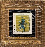 cadre-ancien-or-TORNABENI_Sicilia._Italia ()