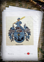 velin-d-Arches-MARING_Wappenbuch der Stadt Basel . B.Meyer Knaus 1880_Schweiz 