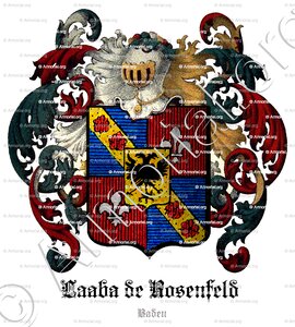 LAABA de ROSENFELD