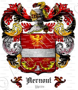AERNOUT