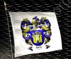 drapeau-BARRIO_De la Junta de Parayas, Aragón, Castilla._España (1)