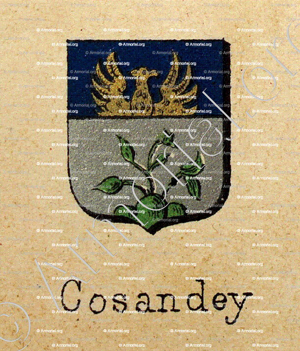 COSANDEY_Livre d'Or du Canton de Fribourg (Freiburg). (Alfred Raemy, 1898)_Schweiz Suisse Svizzera Switz