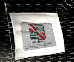 drapeau-LUCINGE_Armorial Nice. (J. Casal, 1903) (Bibl. mun. de Nice)._France (i)