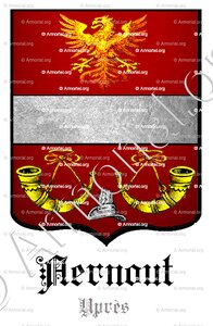 AERNOUT