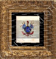 cadre-ancien-or-MAC MAHON_Armorial Nice. (J. Casal, 1903) (Bibl. mun. de Nice)._France (i)