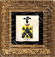 cadre-ancien-or-VAN DUERNE DE DAMAS_Armorial royal des Pays-Bas_Europe