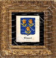 cadre-ancien-or-BLUMERT_Nürnberg_Deutschland (1)