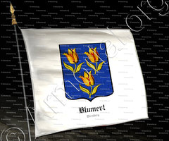 drapeau-BLUMERT_Nürnberg_Deutschland (1)