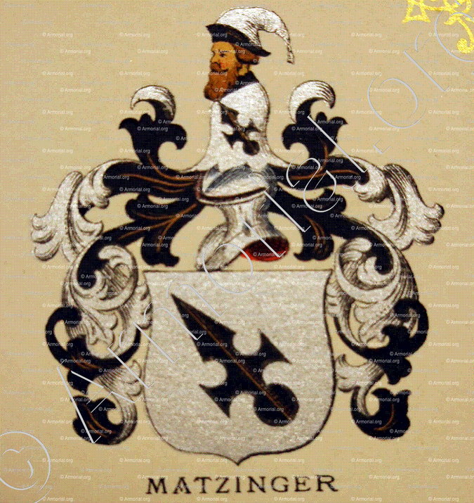 MATZINGER_Wappenbuch der Stadt Basel . B.Meyer Knaus 1880_Schweiz 