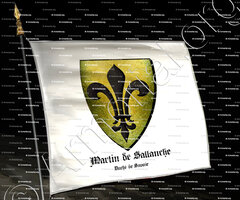 drapeau-MARTIN de SALLANCHE_Ancien Duché de Savoie_États de Savoie