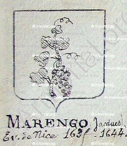 MARENGO