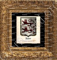 cadre-ancien-or-AYNER_Armorial des principales maisons et familles du Royaume, par le sieur Pierre-Paul Dubuisson, 1757._France Europe ()