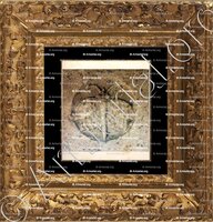 cadre-ancien-or-BLICHFELDT_København. Sankt Petri._Danmark ()