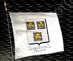 drapeau-TARDIVEL_Bretagne_France (3)