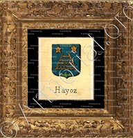 cadre-ancien-or-d'HAYOZ_Livre d'Or du Canton de Fribourg (Freiburg). (Alfred Raemy, 1898)_Schweiz Suisse Svizzera Switz