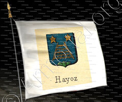 drapeau-d'HAYOZ_Livre d'Or du Canton de Fribourg (Freiburg). (Alfred Raemy, 1898)_Schweiz Suisse Svizzera Switz