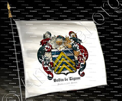drapeau-BABIN de LIGNAC_Anobli en 1697,Poitou._France