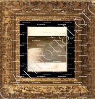 cadre-ancien-or-BLICHFELDT_København. Sankt Petri._Danmark