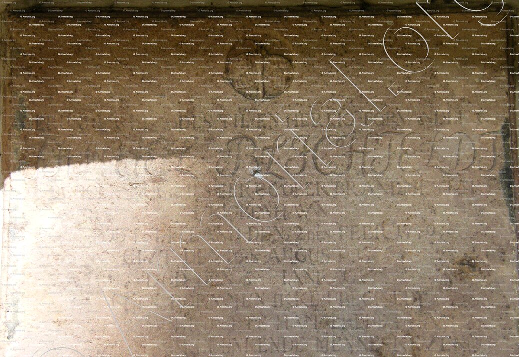 BLICHFELDT_København. Sankt Petri._Danmark