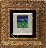 cadre-ancien-or-MARTINI_Armorial Nice. (J. Casal, 1903) (Bibl. mun. de Nice) - France (ii)