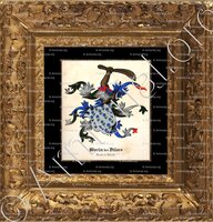 cadre-ancien-or-MARTIN des VILLARS_Armorial et Nobiliaire de l'Ancien Duché de Savoie (Cte de Foras, 1863)_États de Savoie (0)