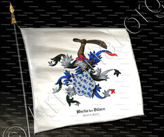 drapeau-MARTIN des VILLARS_Armorial et Nobiliaire de l'Ancien Duché de Savoie (Cte de Foras, 1863)_États de Savoie (0)