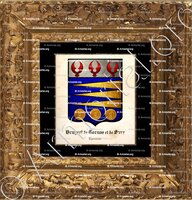 cadre-ancien-or-BRUYSET de CORNAS et de SURE_Lyonnais_France (2)