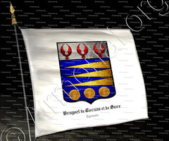 drapeau-BRUYSET de CORNAS et de SURE_Lyonnais_France (2)