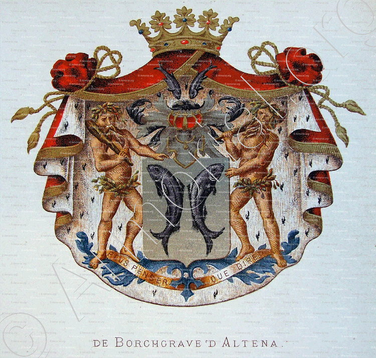 ALTENA_Wapenboek van den Nederlandschen Adel. (J.B. Rietstap)._Nederland (i)