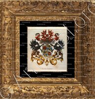 cadre-ancien-or-ALTING SIBERG_Wapenboek van den Nederlandschen Adel. (J.B. Rietstap)._Nederland (i)