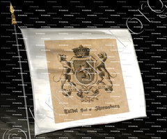 drapeau-TALBOT Earl of SHREWSBURY_Shresbury_England