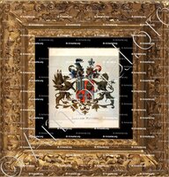 cadre-ancien-or-BARCHMAN WUYTIERS_Wapenboek van den Nederlandschen Adel. (J.B. Rietstap)_Nederland (i)