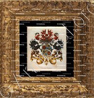 cadre-ancien-or-ALTING_Wapenboek van den Nederlandschen Adel. (J.B. Rietstap)._Nederland (i)