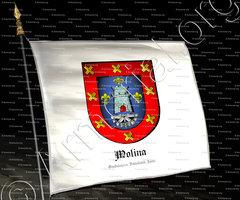 drapeau-MOLINA_Guadalajara, Valladolid,  Jaén._España (2)