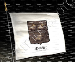drapeau-BOSSIER_Vlaanderen, Gent._Beigië (3)