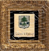 cadre-ancien-or-EPINAY_Livre d'Or du Canton de Fribourg (Freiburg). (Alfred Raemy, 1898)_Schweiz Suisse Svizzera Switz